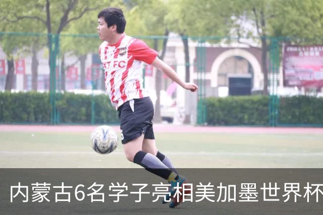内蒙古6名学子亮相美加墨世界杯揭幕战 直言太激动